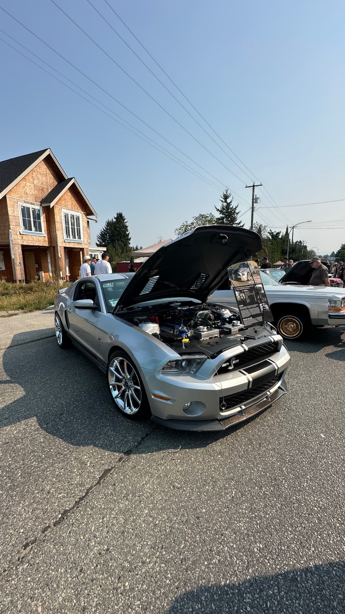 Engine Bay Detailing by Gunn Cleaning Service